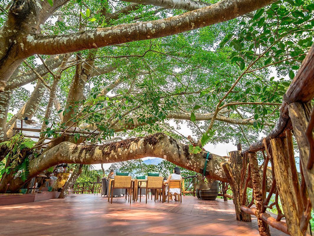The Giant Chiangmai Chiang Mai Exterior foto